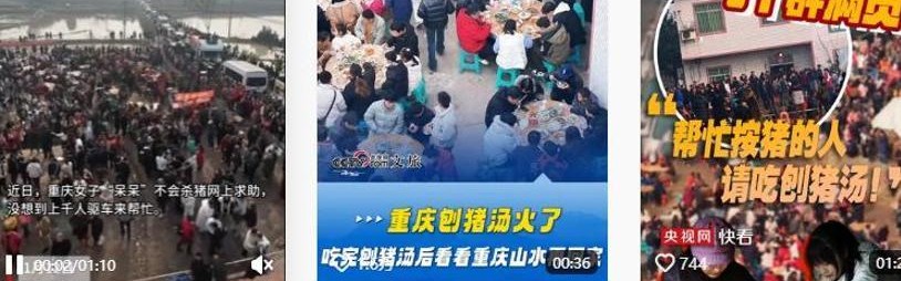 天天盈球直播-株洲灿灿跟风杀猪，比呆呆还野！文旅提前6天准备，却被网友骂惨